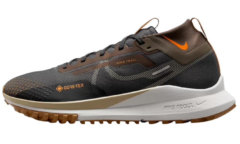 Nike Pegasus Trail 4 Gore Tex Brown